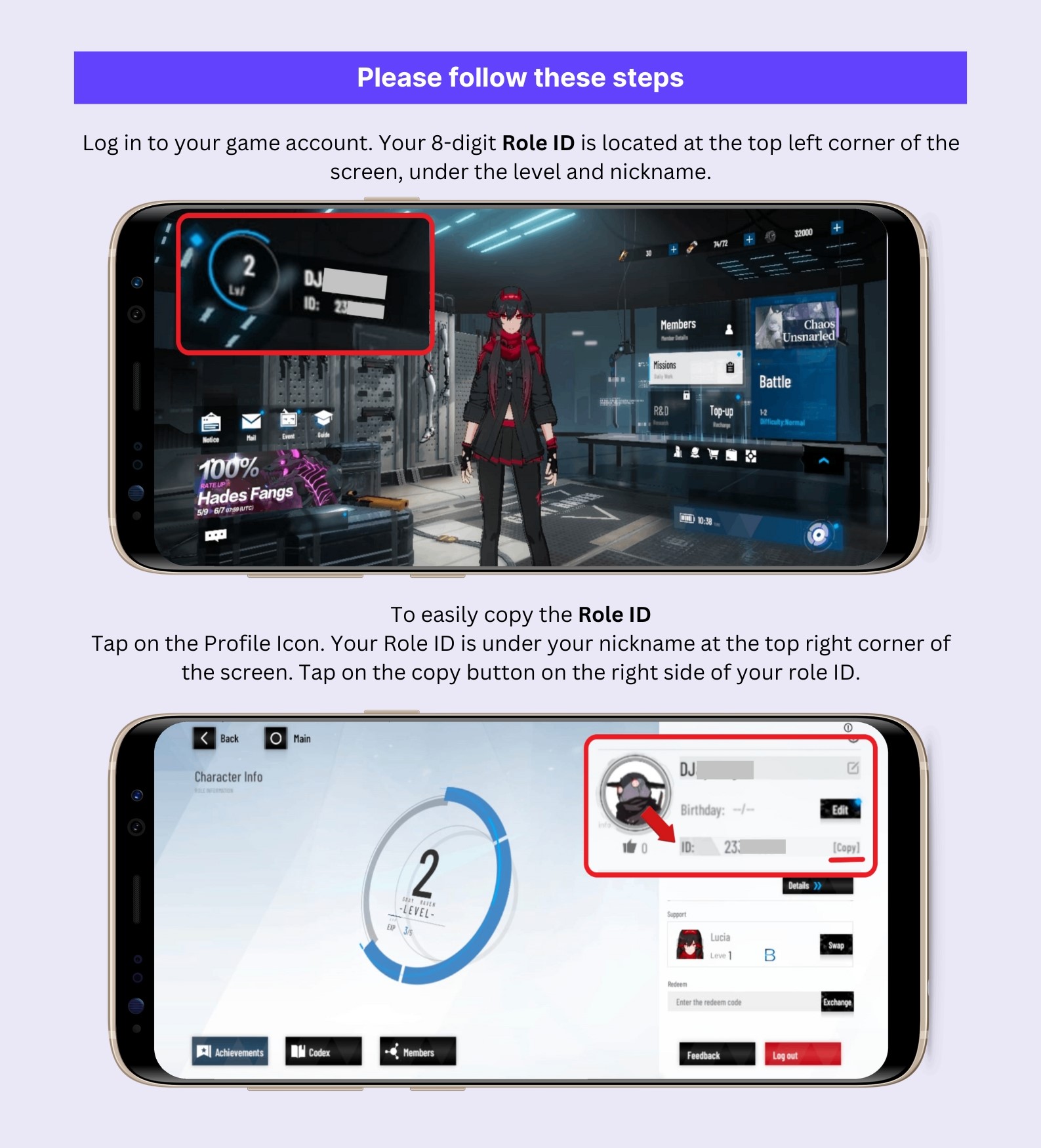 Where Can I Find My Punishing: Gray Raven Role ID? – Codashop Philippines